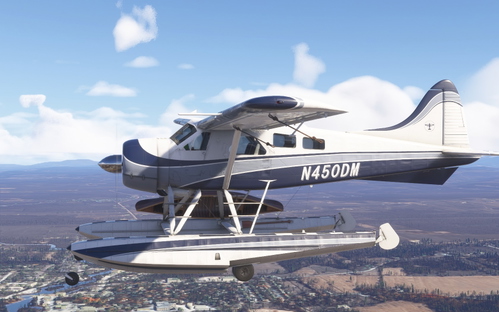 Beaver DHC-2    N450DM