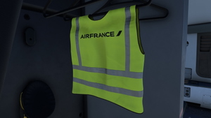 Air France F-HUVQ thumbnail 8