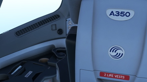 Air France F-HUVQ thumbnail 9