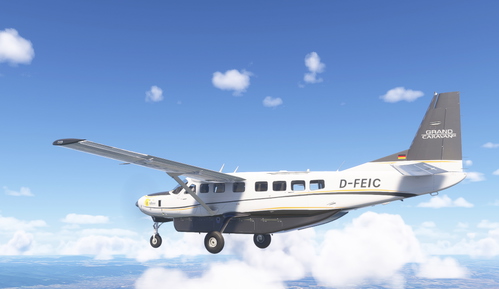 Cessna C208B Grand Caravan FlYellow D-FEIC