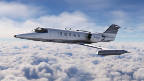 Pinstripe Jets Fleet (+Medevac & Freighter) | Flysimware Learjet 35A