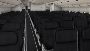 [20/24] Air New Zealand ZK-OKH w/ Cabin | PMDG 777-200ER thumbnail 7