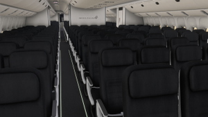 [20/24] Air New Zealand Fleet  w/ Cabin | PMDG 777-200ER thumbnail 7
