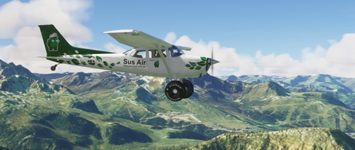 Livery Bagolu C172 SP Taildragger - SusAir