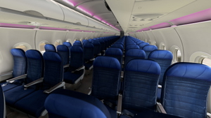 United Airlines 'CO/Merger' | Pack | w/Cabin | Fenix A319 (8K + 4K) thumbnail 11