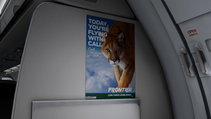 Frontier Airlines (Pack) | w/Cabin | Fenix A321SL thumbnail 13