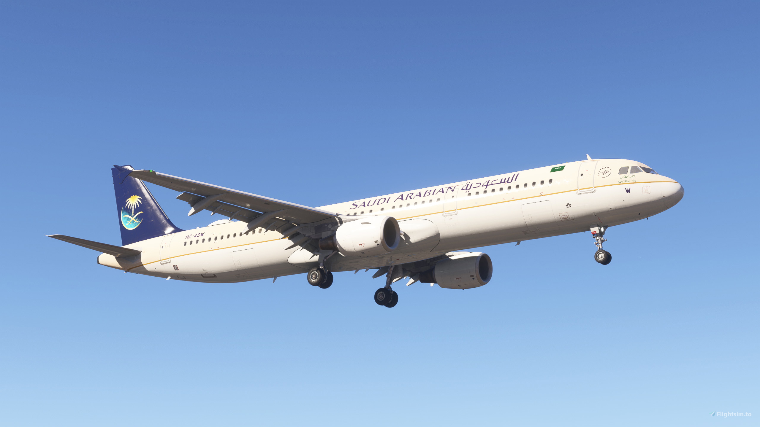 PMDG 737-900ER Saudi Arabia - Ministry of Finance HZ-MF6 for