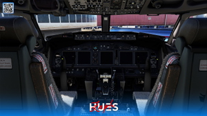 Southwest Mega Fleet Pack w/cabin | PMDG 737-700 | 8K thumbnail 11