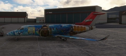 [4K] Cessna Citation Longitude "Skibidi Brainrot" Livery [Fictional] 