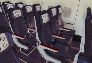 Royal Air Maroc [Pack] w/cabin  - PMDG 738 (FS2020) thumbnail 10