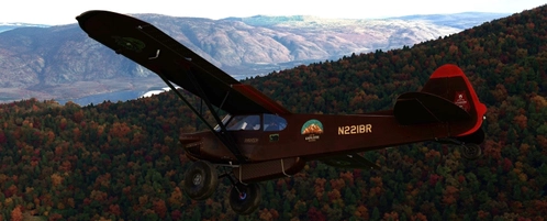 XCub Extreme N221BR brown Shashtsoh