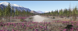 6AK Rainy Pass Lodge Airport Alaska thumbnail 13