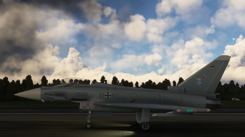  CJ Simulations Typhoon TaktLwG31 31+01 Pacific Skie