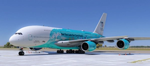 Hi Fly [9H-MIP] A380 "Save the Coral Reefs" (Update for NATIVE 2024 version) thumbnail 3