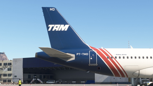 [8k] [Real] TAM PT-TMD Fenix A319