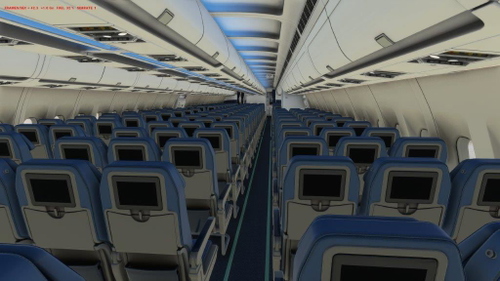 A310 Custom Views