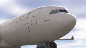 Aer Lingus  NC Pack| iniBuilds A330-300 | 8K w/cabin thumbnail 8