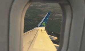 Aer Lingus (EI-NSB) for MSFS2024 | Inibuilds A320NEO  thumbnail 4