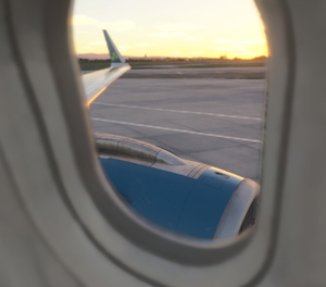 Aer Lingus (EI-NSB) for MSFS2024 | Inibuilds A320NEO  thumbnail 10