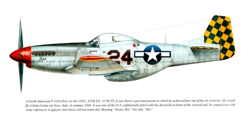 Aeroplane Heaven P-51D '24'