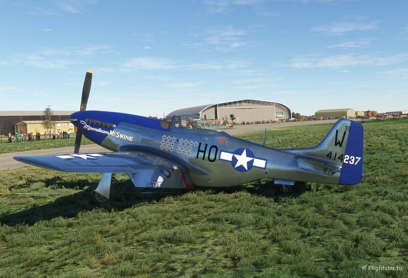 Aeroplane Heaven P51D のために Microsoft Flight Simulator MSFS