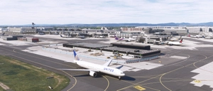 Aerosoft EDDF Frankfurt - Parking Enhancements thumbnail 6