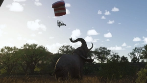 African Safari  - Pilansberg + Airport thumbnail 2
