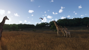 African Safari  - Pilansberg + Airport thumbnail 3