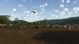 African Safari  - Pilansberg + Airport thumbnail 5
