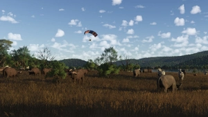 African Safari  - Pilansberg + Airport thumbnail 6