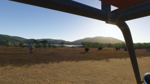African Safari  - Pilansberg + Airport thumbnail 8