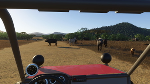 African Safari  - Pilansberg + Airport thumbnail 9