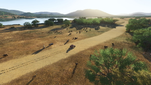 African Safari  - Pilansberg + Airport thumbnail 10
