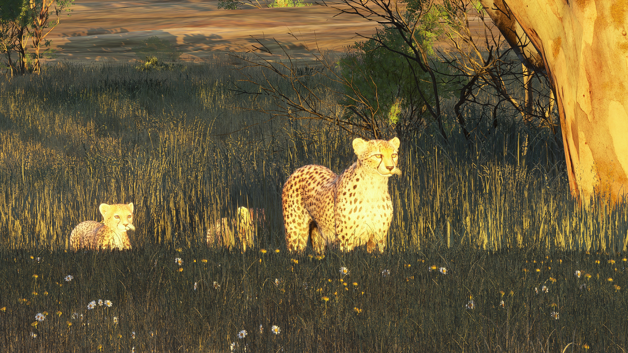 African Safari  - Pilansberg + Airport - Image 1