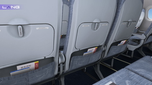 Air China B-9918 B6918 CFM IAE With Cabin Fenix A320 V2 8K thumbnail 8