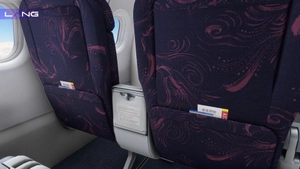 Air China Beautiful Sichuan With Cabin B-6365 8K Fenix A321 thumbnail 8