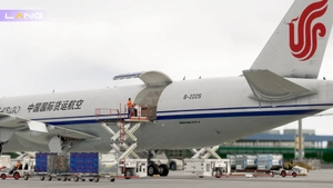 Air China Cargo B-222S 8k PMDG 777-F thumbnail 15