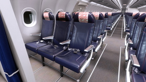 [Fenix A321] Air France "DUAL Cabin" thumbnail 6