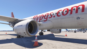 Airbus A320 Pegasus (TC-DCM) "Buse" thumbnail 9