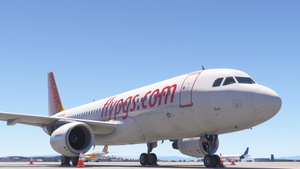 Airbus A320 Pegasus (TC-DCM) "Buse" thumbnail 10
