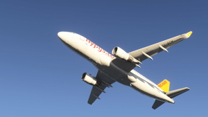 Airbus A320 Pegasus (TC-DCM) "Buse" thumbnail 16