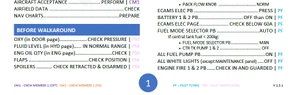 Airbus A320 SOP & Checklist thumbnail 5