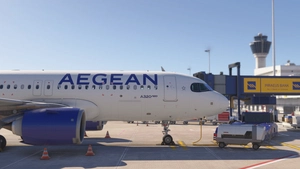 Airbus A320neo Aegean Airlines (SX-NEJ) thumbnail 7