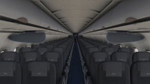 Airbus A320neo Scandinavian Airlines (SE-RZE) thumbnail 17