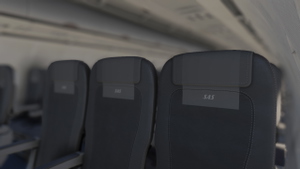 Airbus A320neo Scandinavian Airlines (SE-RZE) thumbnail 20