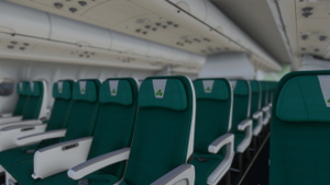 Airbus A330-200 Aer Lingus (EI-DUO) thumbnail 9