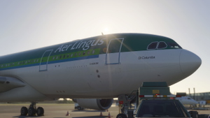 Airbus A330-200 Aer Lingus (EI-DUO) thumbnail 14