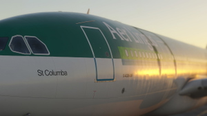 Airbus A330-200 Aer Lingus (EI-DUO) thumbnail 15