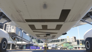 Airbus A330-200 LEVEL (EC-NNH) thumbnail 11