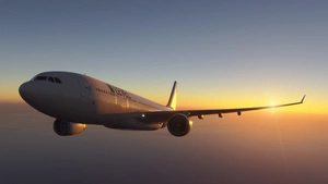 Airbus A330-200 LEVEL (EC-NNH) thumbnail 19